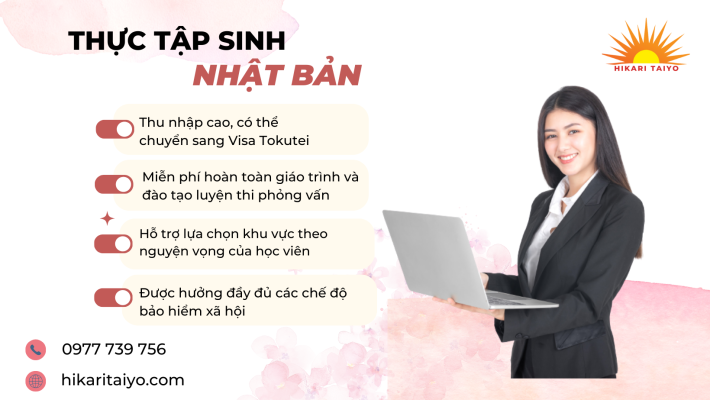 Khi chọn chương trình thực tập sinh của Hikari Taiyo